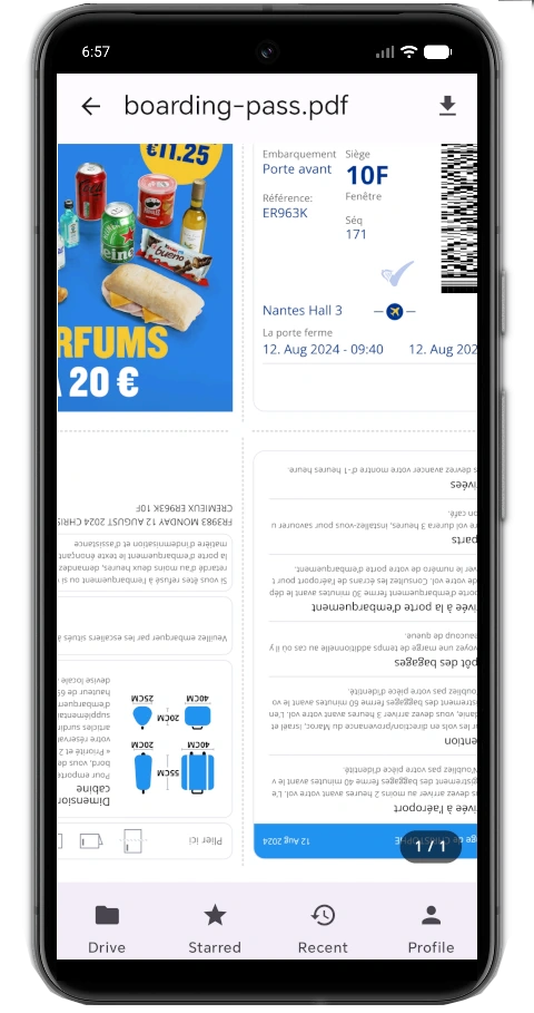 PDF Viewer